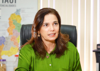 Secretária cala sobre desastre ambiental em Parque Solar de São Gonçalo do Gurguéia